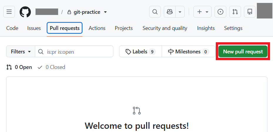 GitHub Pull requests - New pull request