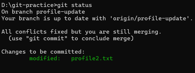 Git - All conflicts fixed