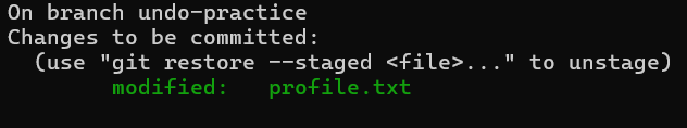 git status 실행 결과